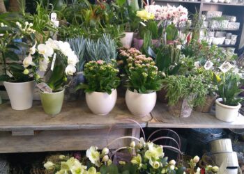 Fot. S. Misiak Radio Zachód