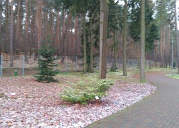 fot. S. Misiak Radio Zachód