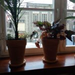 Pierwsze warsztaty w Laboratorium Twórczym Radio Zachód - Lubuskie