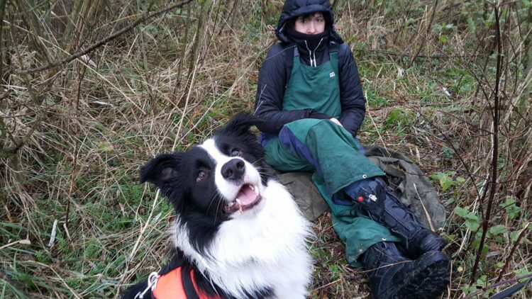 Lubuskie psy ratownicze fot. G.Wesołowski
