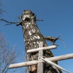 Uroczyste obchody 8. rocznicy katastrofy smoleńskiej Radio Zachód - Lubuskie