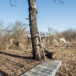 Uroczyste obchody 8. rocznicy katastrofy smoleńskiej Radio Zachód - Lubuskie