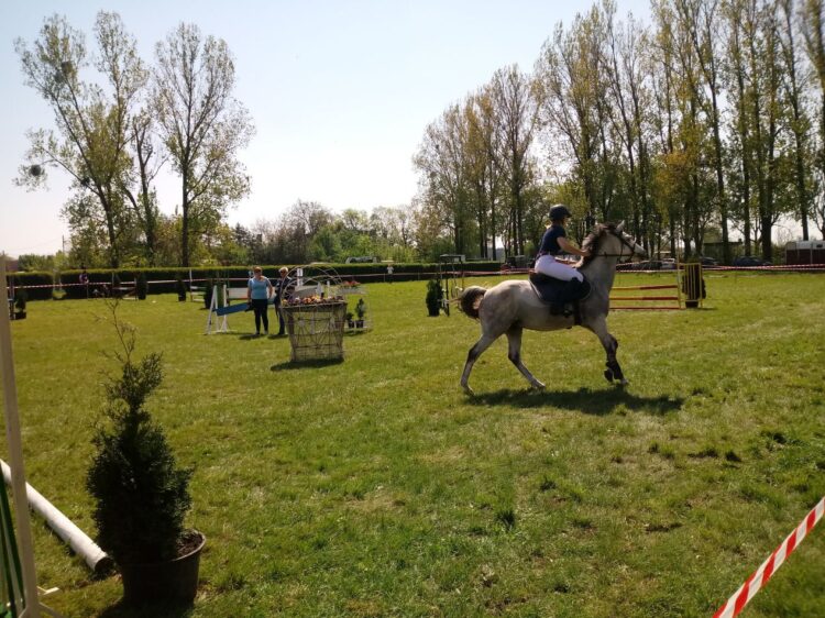 Zawody konne w Zieleńcu.zdj. Izabela Patek