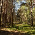 „Zobaczyć czego nie widać”- posłuchaj reportażu Cezarego Galka 11 „Zobaczyć czego nie widać”- posłuchaj reportażu Cezarego Galka Radio Zachód - Lubuskie