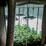 „Krok za krokiem”- posłuchaj reportażu Cezarego Galka 10 „Krok za krokiem”- posłuchaj reportażu Cezarego Galka Radio Zachód - Lubuskie