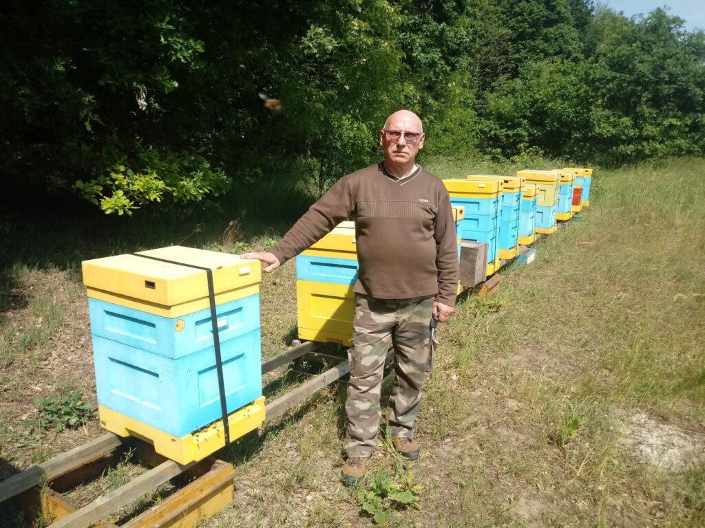 „Apis znaczy pszczoła”- reportaż Elżbiety Wozowczyk-Leszko Radio Zachód - Lubuskie