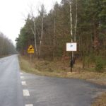 We wrześniu prace ekshumacyjne na terenie byłego obozu w Jasieniu Radio Zachód - Lubuskie