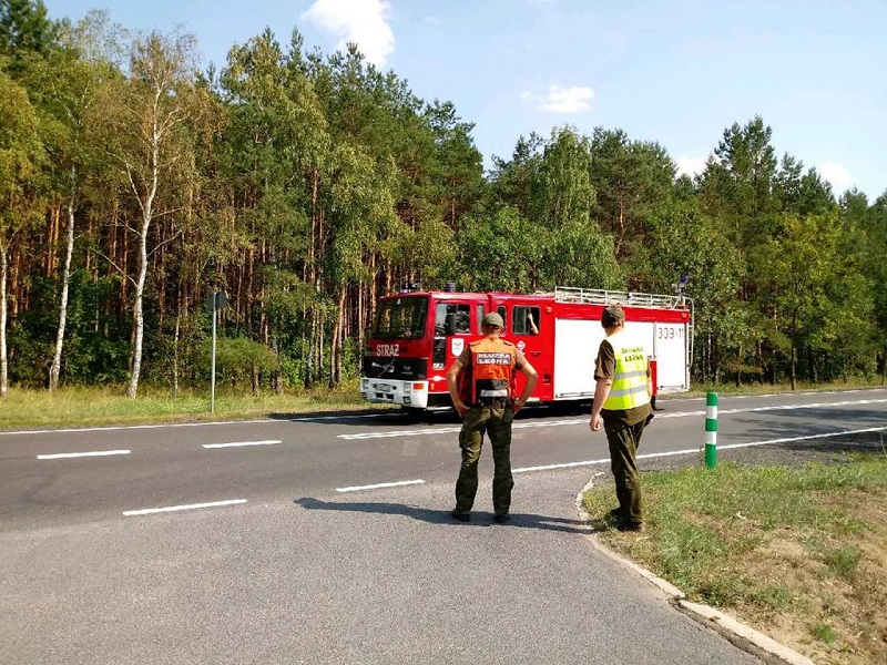 Pożar lasu w Boleminie opanowany Radio Zachód - Lubuskie