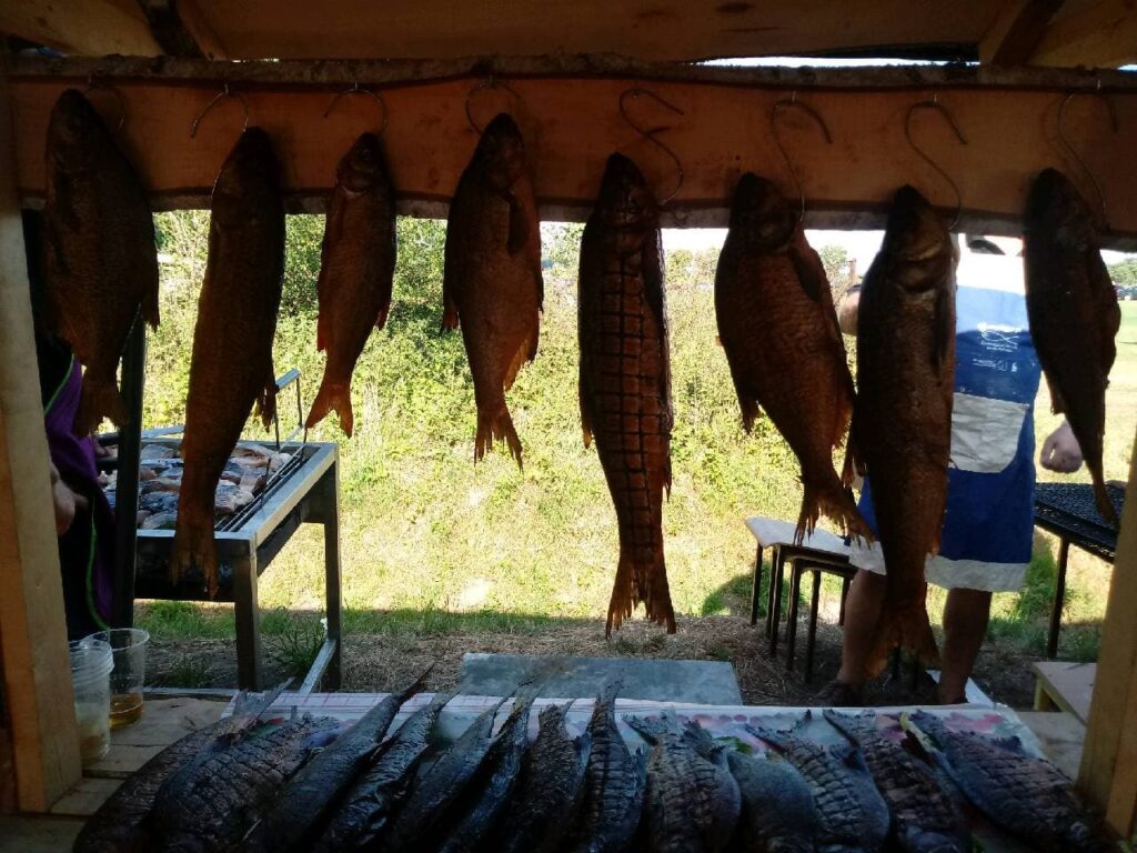 1,5 tony ryb na Święcie Karpia Radio Zachód - Lubuskie