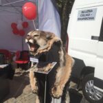 Celnicy pokazali co przywozimy z wakacji Radio Zachód - Lubuskie