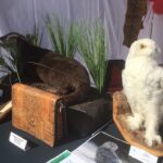 Celnicy pokazali co przywozimy z wakacji Radio Zachód - Lubuskie