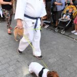 Przemarsz na czterech łapach Radio Zachód - Lubuskie