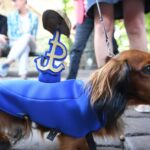 Przemarsz na czterech łapach Radio Zachód - Lubuskie