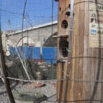 Uszkodzona woliera i ptaki na wolności Radio Zachód - Lubuskie