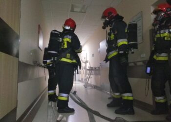 Fot. Zofia Popielecka