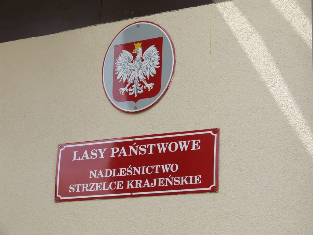 Złożenie kwiatów pod pomnikiem Józefa Piłsudskiego w Gorzowie Radio Zachód - Lubuskie