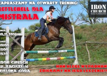 Grafika; organizatorzy akcji