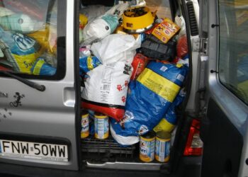 Fot. Marek Turowski.