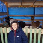 Bożonarodzeniowa żywa szopka na deptaku [GALERIA] Radio Zachód - Lubuskie