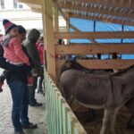 Bożonarodzeniowa żywa szopka na deptaku [GALERIA] Radio Zachód - Lubuskie