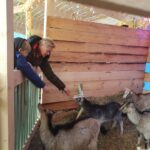 Bożonarodzeniowa żywa szopka na deptaku [GALERIA] Radio Zachód - Lubuskie