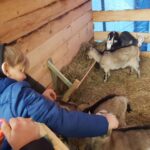 Bożonarodzeniowa żywa szopka na deptaku [GALERIA] Radio Zachód - Lubuskie