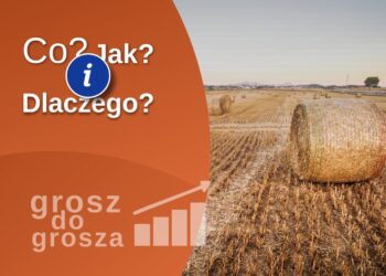 Co, jak i dlaczego? - porady na 103 i 106 FM