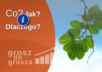 Co, jak i dlaczego? - porady na 103 i 106 FM