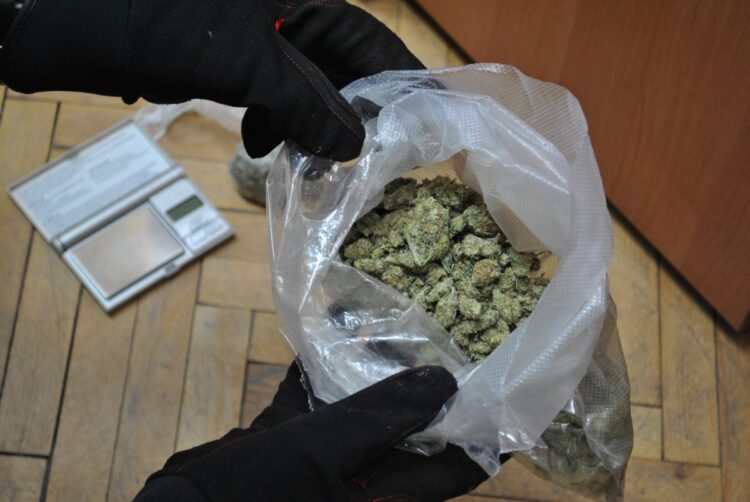 fot. KMP w Zielonej Górze