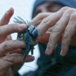 "Przy karmniku" Radio Zachód - Lubuskie