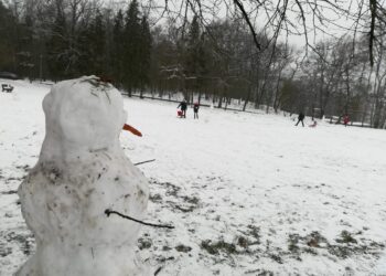 fot.Bartosz Schaefer