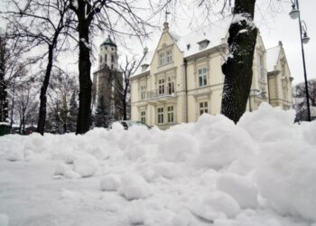 fot. A. Radziukiewicz