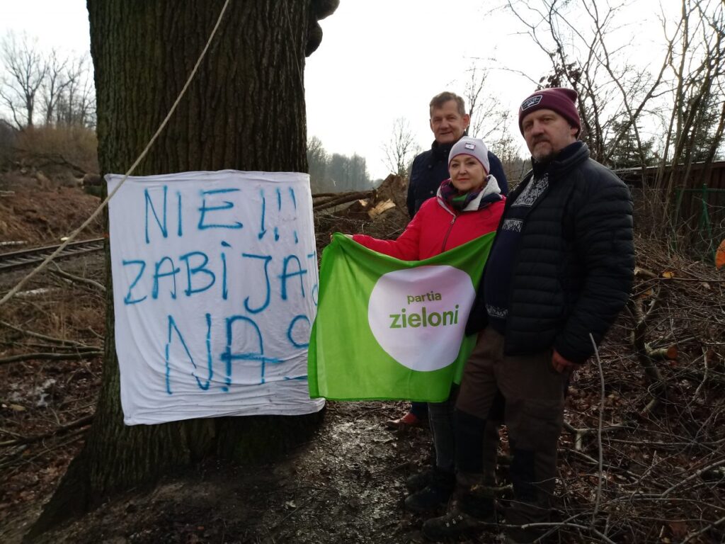 Mieszkańcy i ekolodzy protestują przeciwko wycince drzew Radio Zachód - Lubuskie