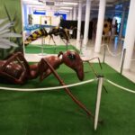 Dinozaury w Centrum Przyrodniczym [ZDJĘCIA] Radio Zachód - Lubuskie