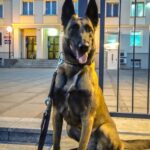 Funkcjonariuszka Lara pomogła odnaleźć nastolatkę 11 Funkcjonariuszka Lara pomogła odnaleźć nastolatkę Radio Zachód - Lubuskie