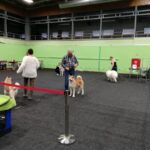 Międzynarodowa psia wystawa Radio Zachód - Lubuskie