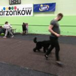 Międzynarodowa psia wystawa Radio Zachód - Lubuskie