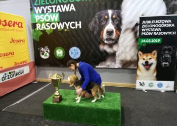 fot. Bartosz Schaefer