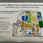 Międzynarodowa psia wystawa Radio Zachód - Lubuskie