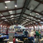 Międzynarodowa psia wystawa Radio Zachód - Lubuskie