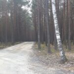 Ćwiczenia "Ognista Puszcza" [GALERIA] Radio Zachód - Lubuskie