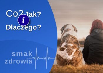 Co, jak i dlaczego? - porady na 103 i 106 FM