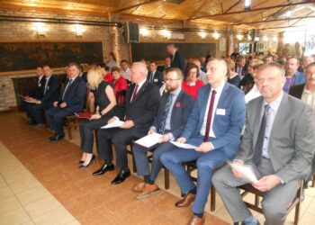 autor: Piotr Wiśniewski