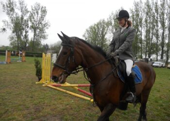 autor: Piotr Wiśniewski