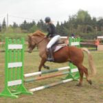 IV Mistrzostwa w jeździe konnej 16 IV Mistrzostwa w jeździe konnej Radio Zachód - Lubuskie