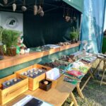 Posadźmy Razem Las! [Galeria] Radio Zachód - Lubuskie