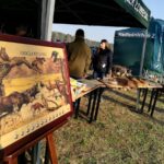 Posadźmy Razem Las! [Galeria] Radio Zachód - Lubuskie