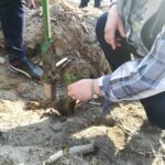 Posadźmy Razem Las! [Galeria] Radio Zachód - Lubuskie