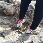 Posadźmy Razem Las! [Galeria] Radio Zachód - Lubuskie