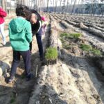 Posadźmy Razem Las! [Galeria] Radio Zachód - Lubuskie